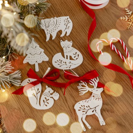 Erdei karácsonyfadísz szett